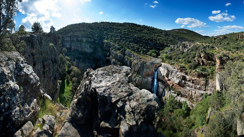 El 36,7% de la superficie total de España está ocupado por bosques.