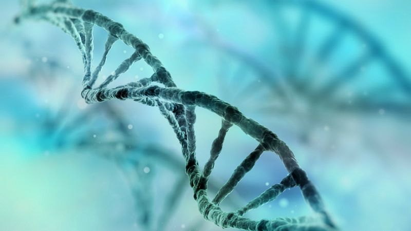 El estudio ha analizado el ADN de 60.706 individuos de diferentes etnias.