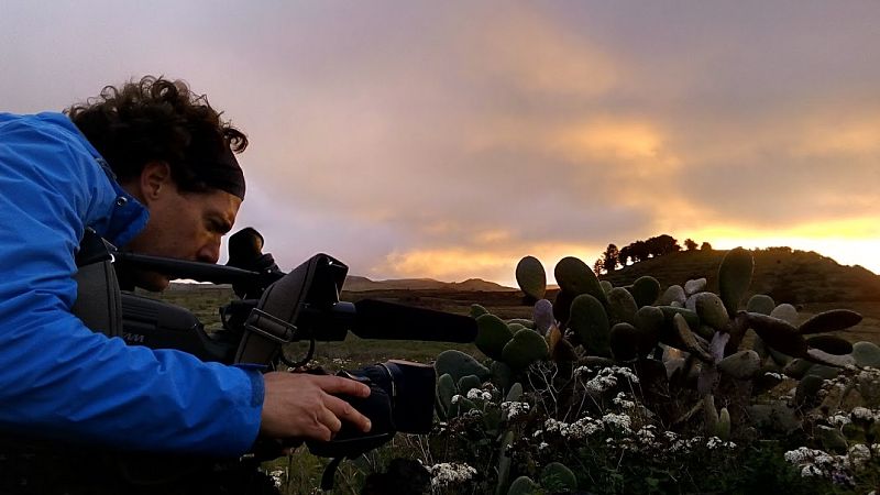 Los contrastes marcan la belleza de la isla