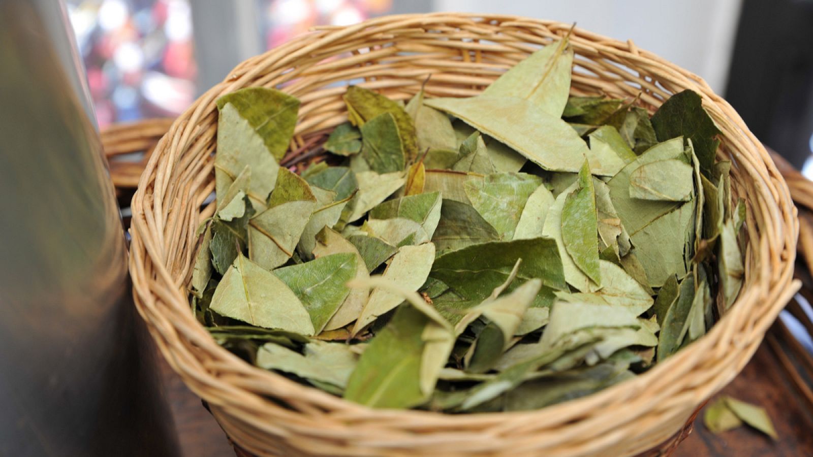 La hoja de coca, sustitutivo del azúcar en el chocolate | RTVE.es