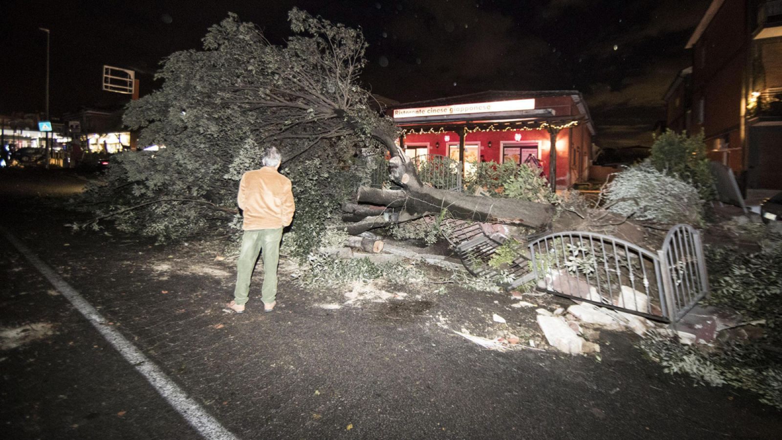 El temporal ha derribado en el centro de Italia numerosos árboles y causado importantes destrozos, como éstos en Cesano, al norte de Roma.