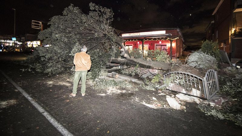 El temporal ha derribado en el centro de Italia numerosos árboles y causado importantes destrozos, como éstos en Cesano, al norte de Roma.