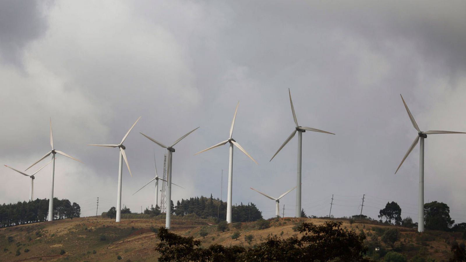 Parque eólico en las colinas de Ngong en Kenia