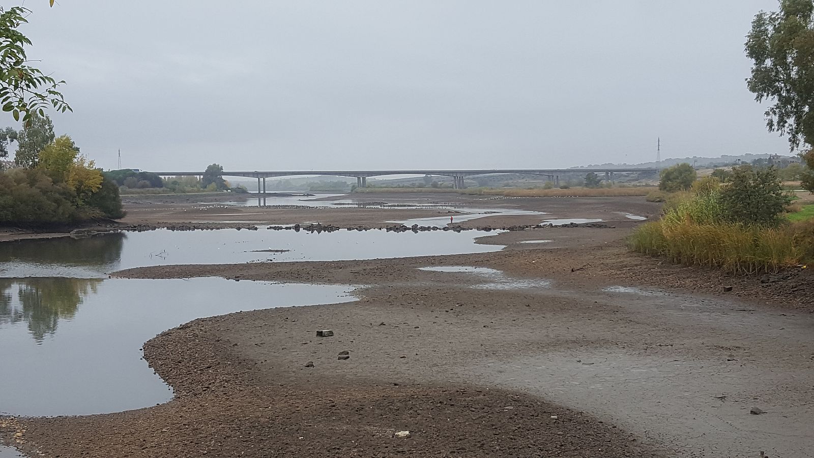 Imagen de Rio Guadiana a su paso por Mérida con el caudal casi vacio, para permitir la limpieza del camalote.