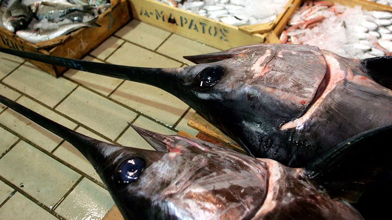 Pescado fresco es exhibido en un puesto de venta del muelle de Keratsini en una imagen de archivo