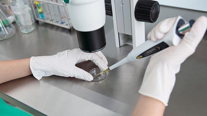 Los científicos han averiguado que las células de TNBC mueren rápidamente cuando se les priva de un aminoácido llamado cistina.