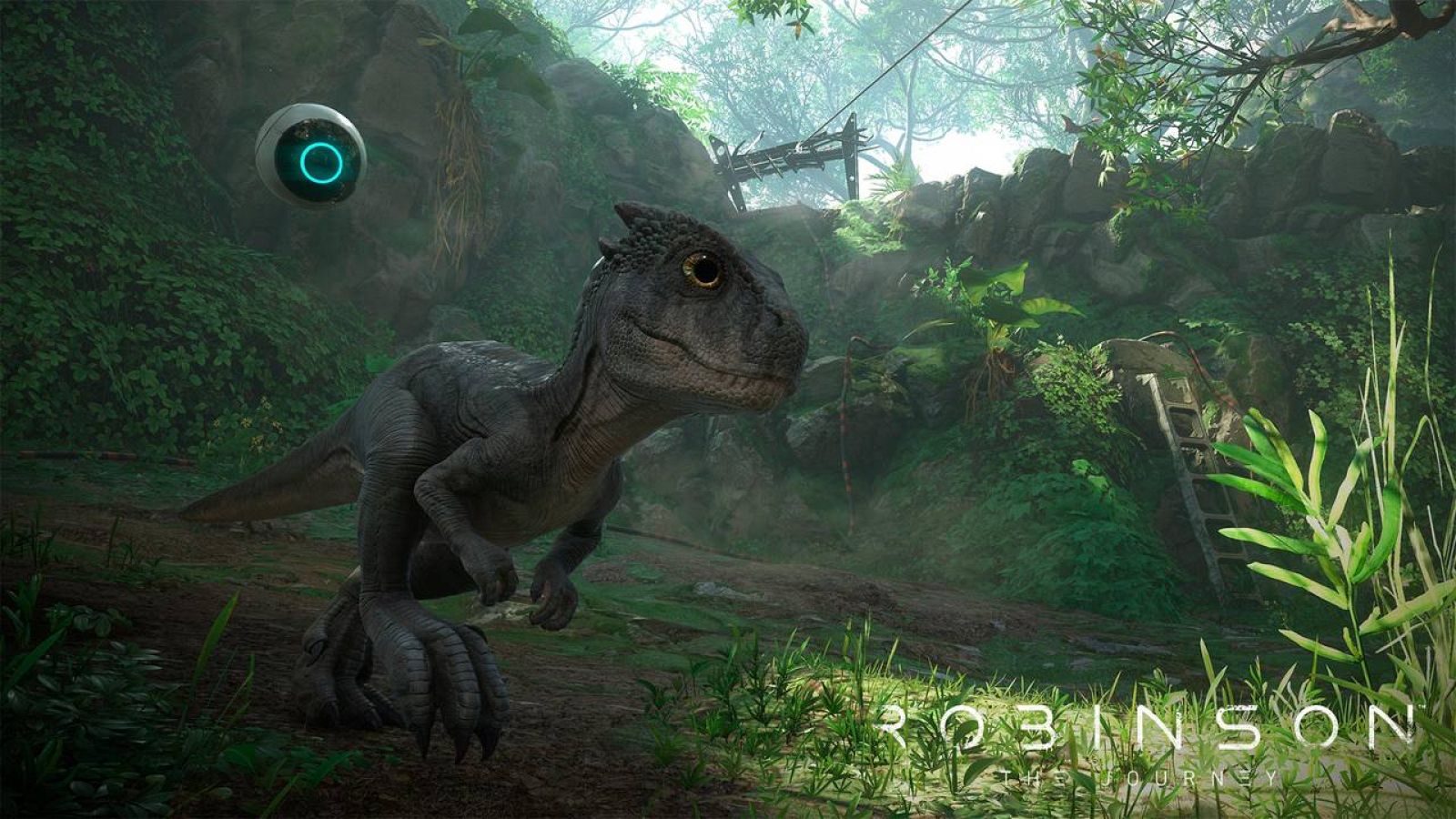 Higs y Laika serán los acompañantes de Robinson en su aventura.