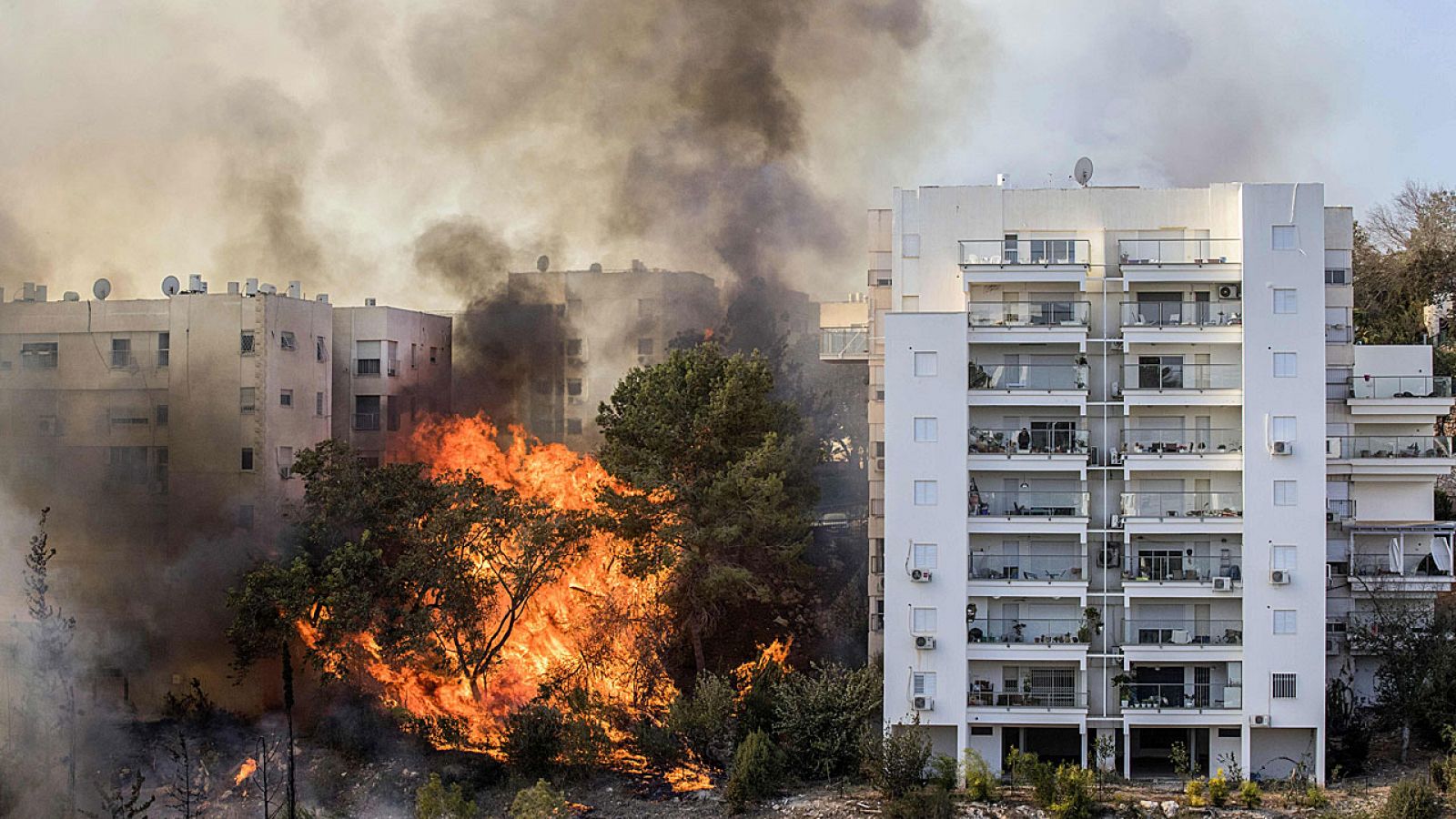 Haifa, a orillas del Mediterráneo, es una de las ciudades más afectadas por el fuego.