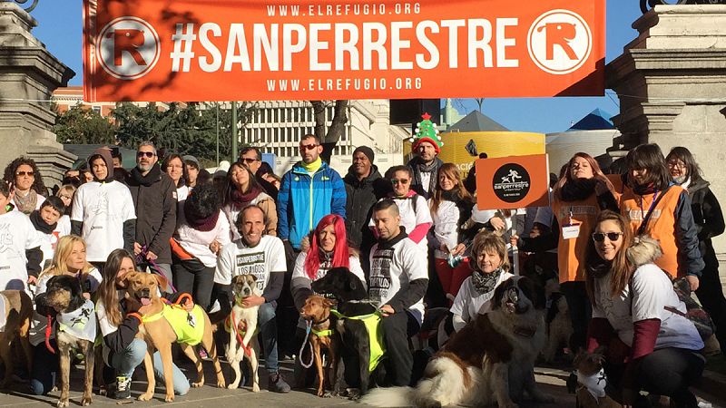 Los perros han participado junto a sus dueños.