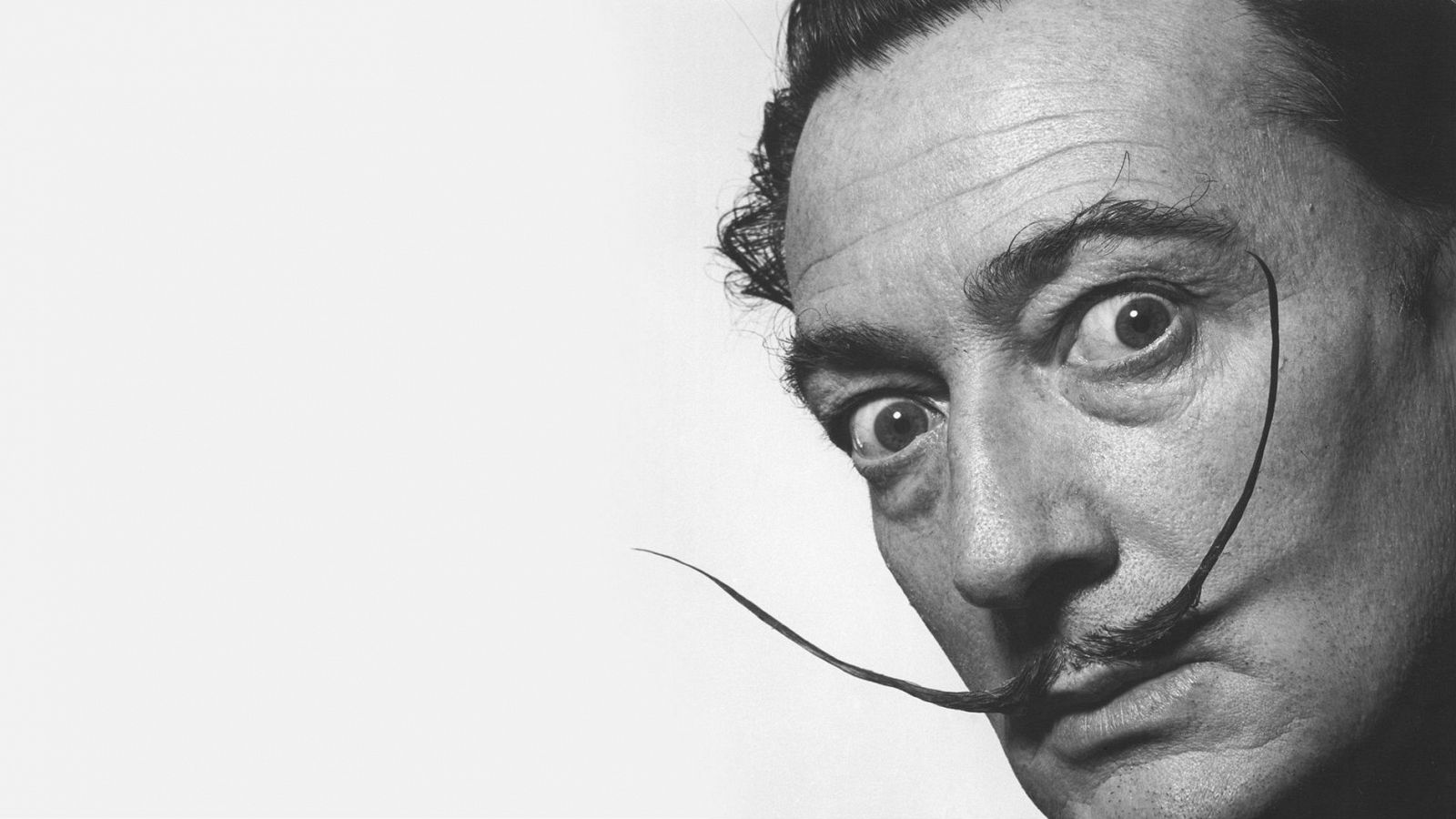 'Memoria de delfín' homenajea a Salvador Dalí