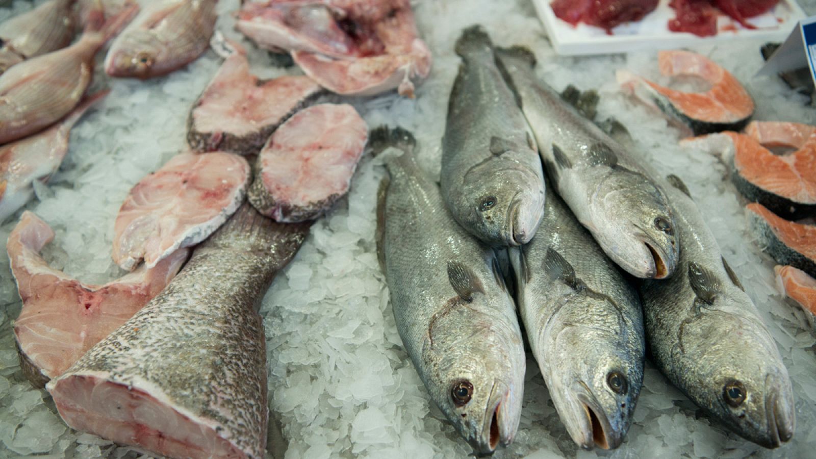 La presencia de mercurio en el pescado y otros productos pesqueros son la primera causa de notificación.