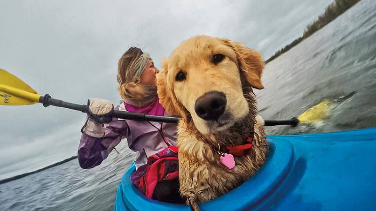 Los fabricantes de cámaras de acción han fijado la vista en otro perfil de consumidor más tranquilo.