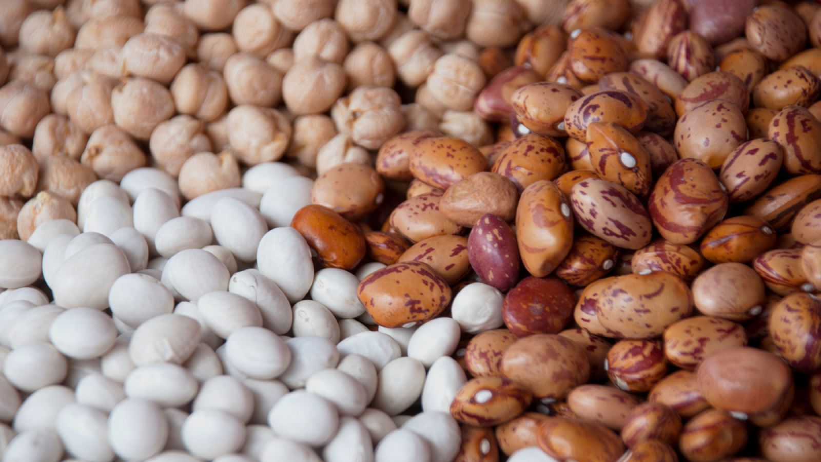 Las legumbres analizadas por el trabajo científico fueron lentejas, garbanzos, alubias y guisantes.