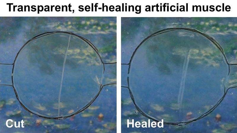 Es la primera vez que se logra sintetizar un material autorreparable que además es capaz de conducir la electricidad.