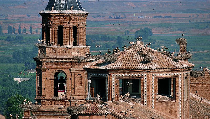 Colegiata de San Miguel Arcángel en Alfaro