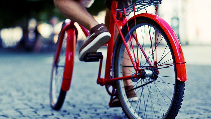 'Memoria de delfín' celebra el Día Mundial de la Bicicleta
