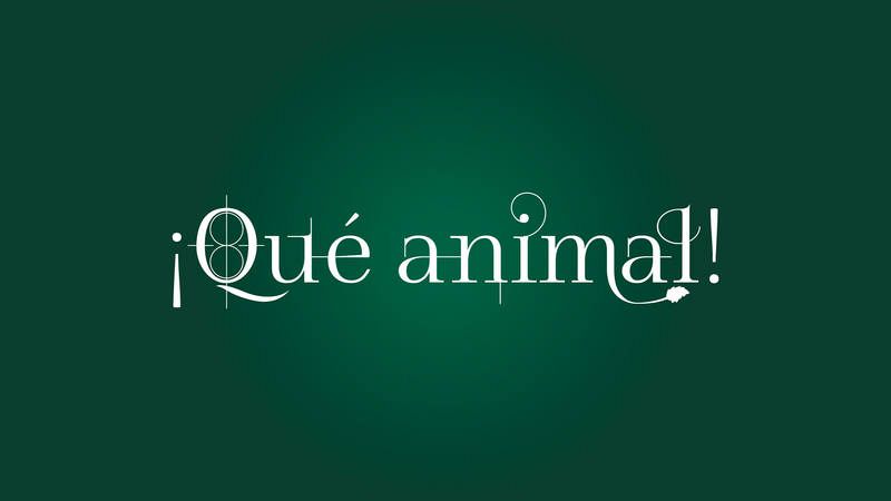 Logotipo ¡Qué animal! 