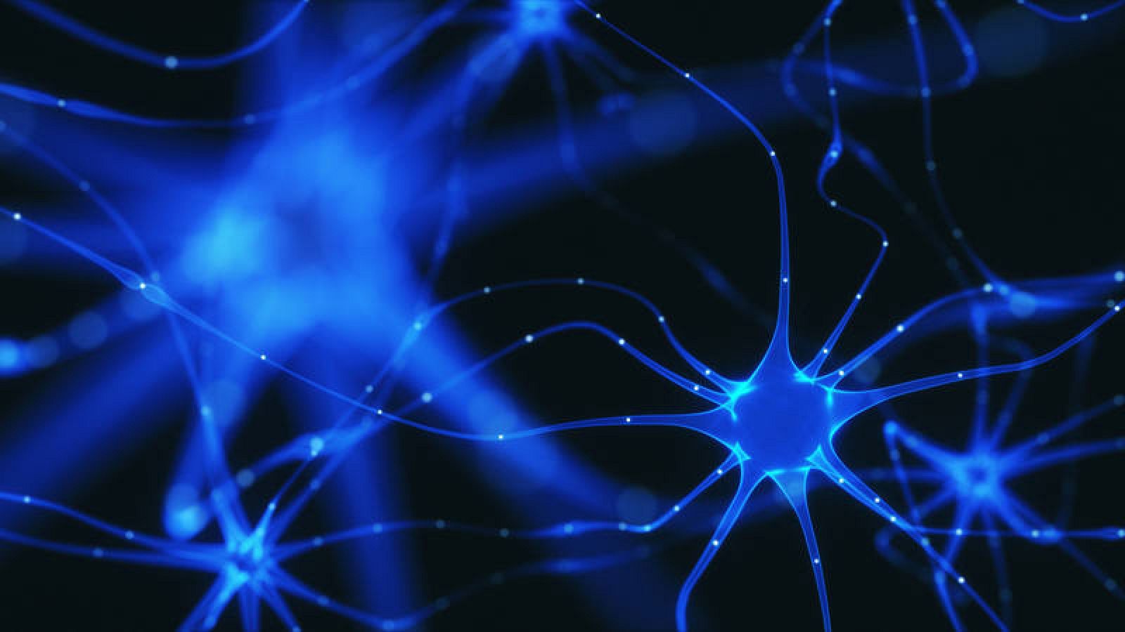 La generación de neuronas ha sido posible gracias a una reprogramación de fibroblastos.