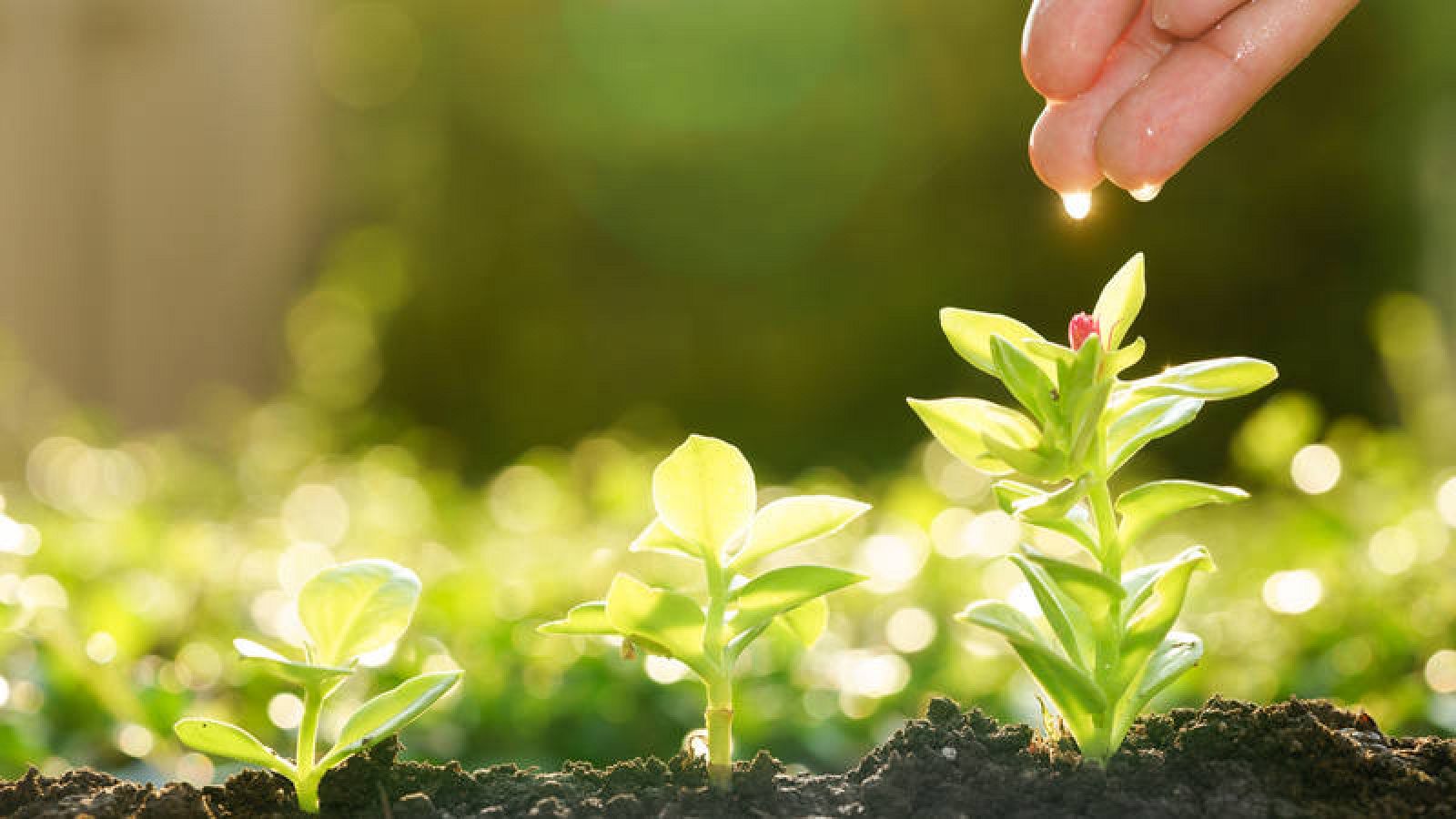 Por primera vez se hablará de soluciones ante una de las mayores amenazas que tiene la humanidad.