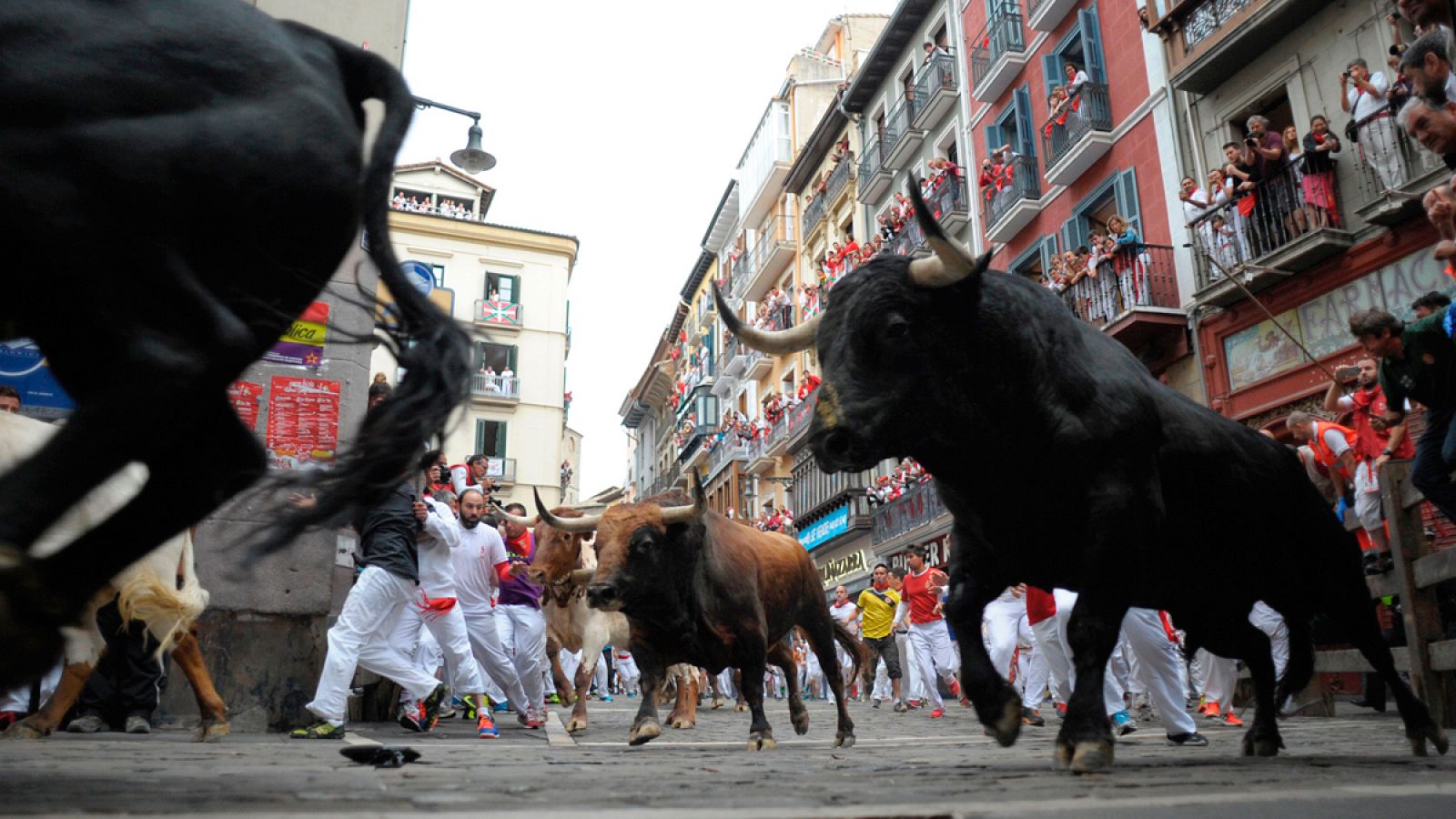 Los toros de Victoriano del Río, en su encierro de San Fermín 2016