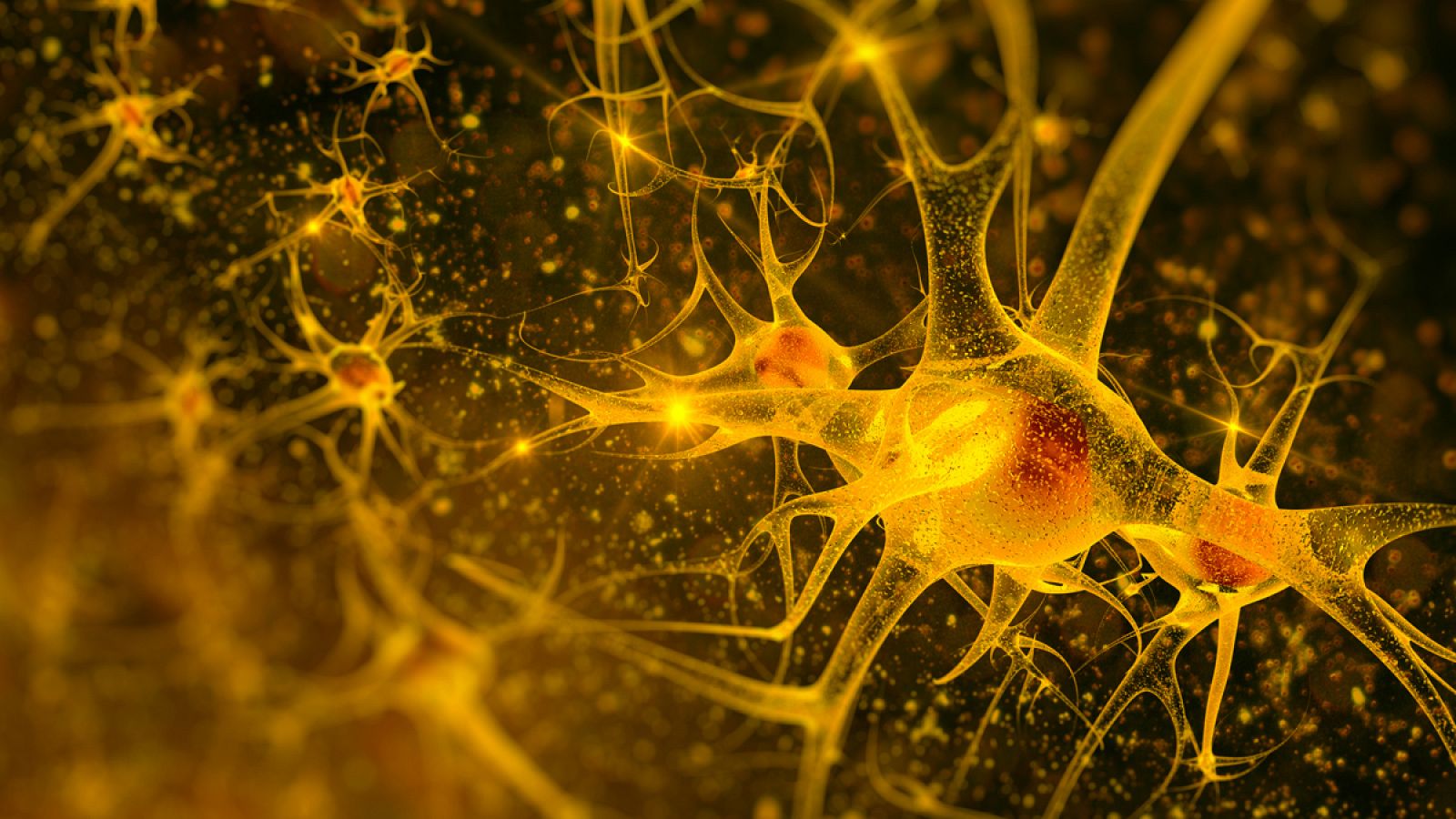 Ilustración de una red de neuronas