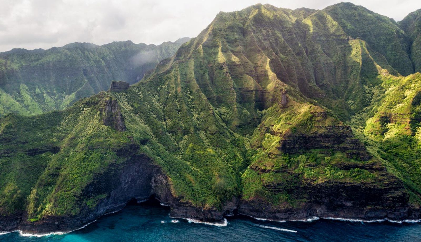 Las islas Hawaianas es la región del mundo con mayor número de especies extranjeras.