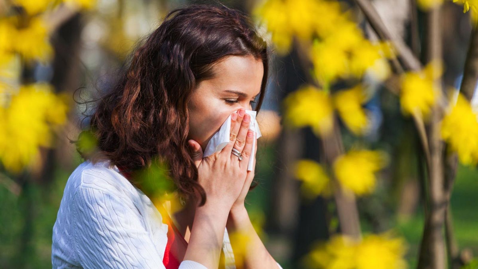 Actualmente el porcentaje de la población española que sufre alergia es del 25%.