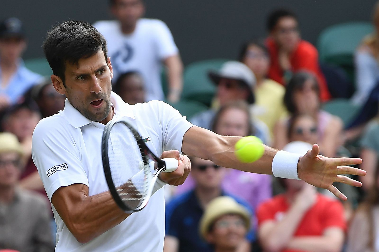 Novak Djokovic durante el partido en Wimbledon ante Martin Klizan.