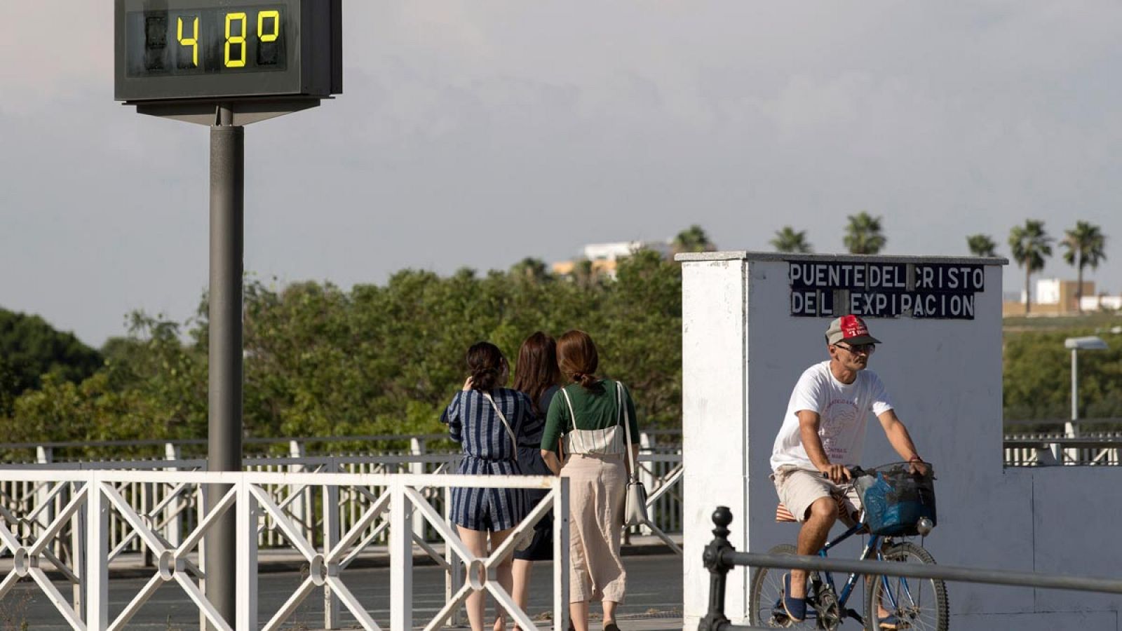 Un ciclista cruza el puente del Cristo de la expiración, en Sevilla, el pasado mes de junio.