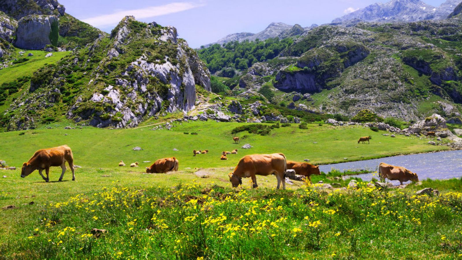 Turismo rural sostenible