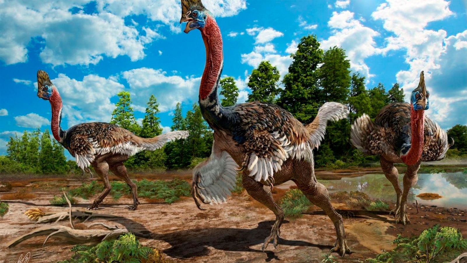 Ilustración del aspecto que tendría el 'Corythoraptor jacobsi', dinosaurio descubierto en China