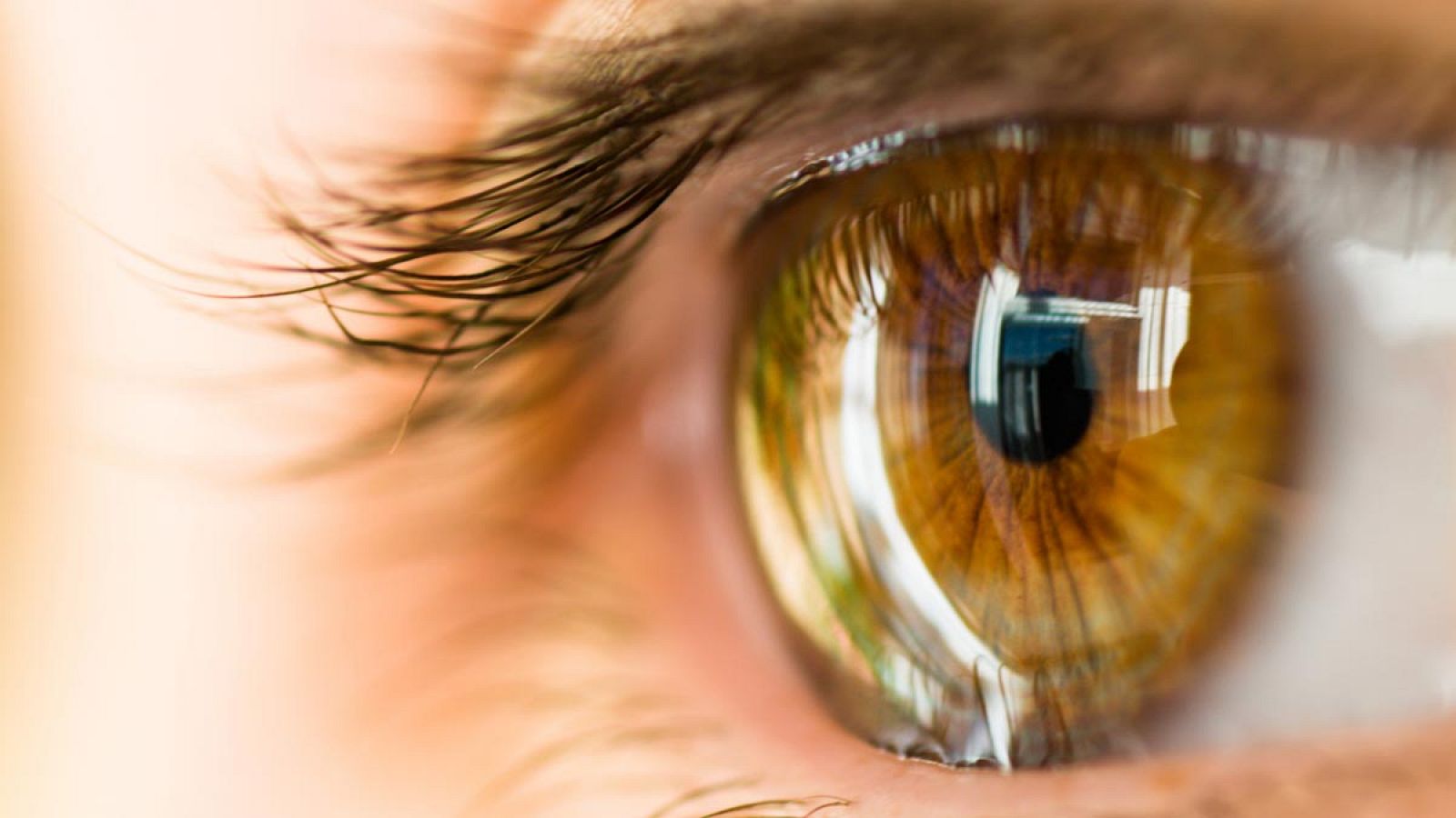 En el mundo hay anualmente más de 10 millones de personas que sufren ceguera por patología corneal.