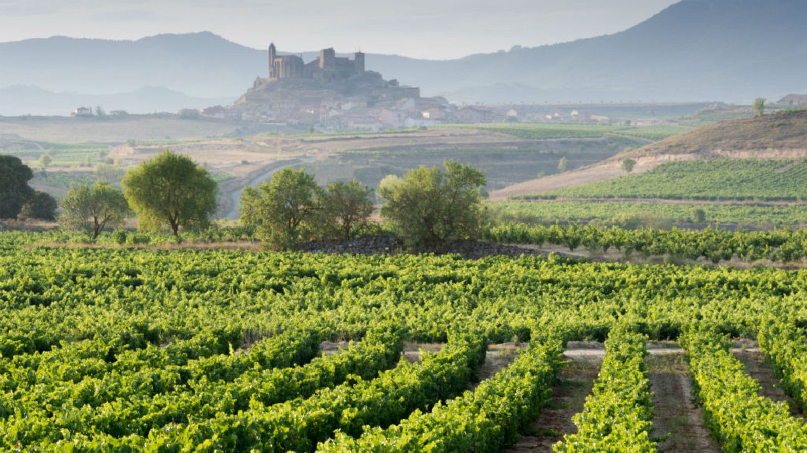 Cosas que hacer en La Rioja
