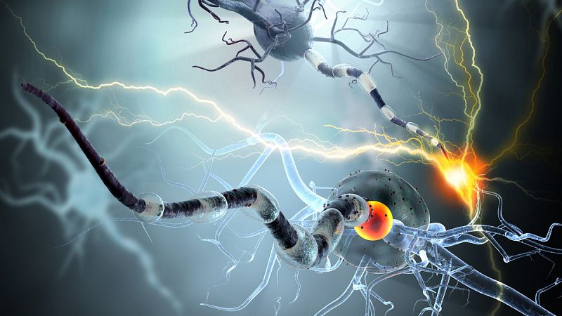 Ilustración de células nerviosas