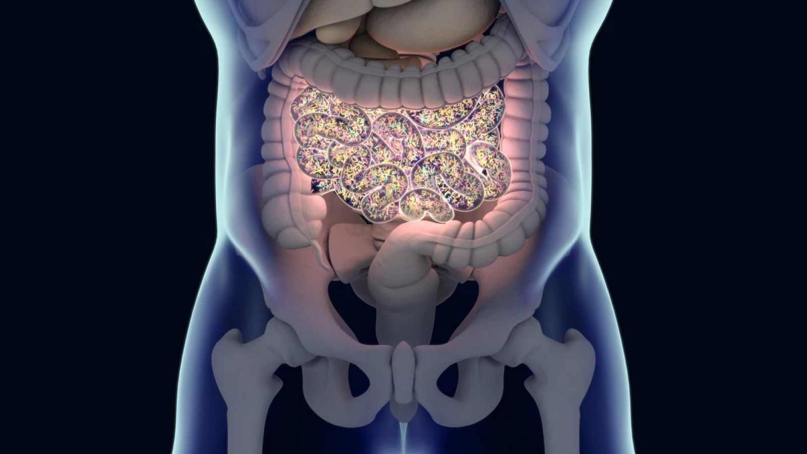 Los investigadores estudian si cambios en la dieta o medicinas basadas en subproductos microbiales podrían mejorar la evolución de la esclerosis múltiple.