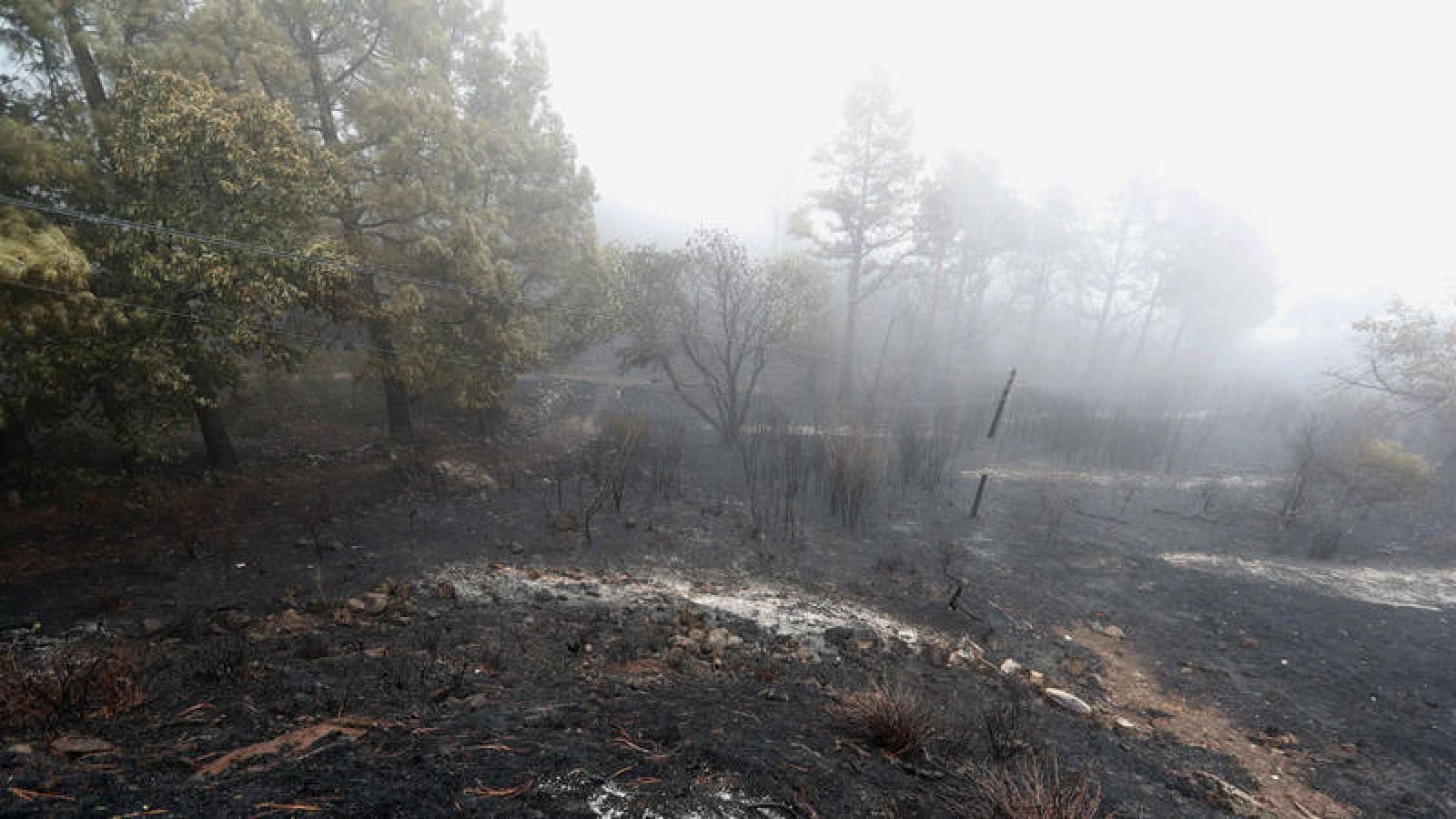 Vista de las inmediaciones de la Cruz de Tejeda (Gran Canaria), arrasadas por el incendio declarado el miércoles 20 de septiembre de 2017. 
