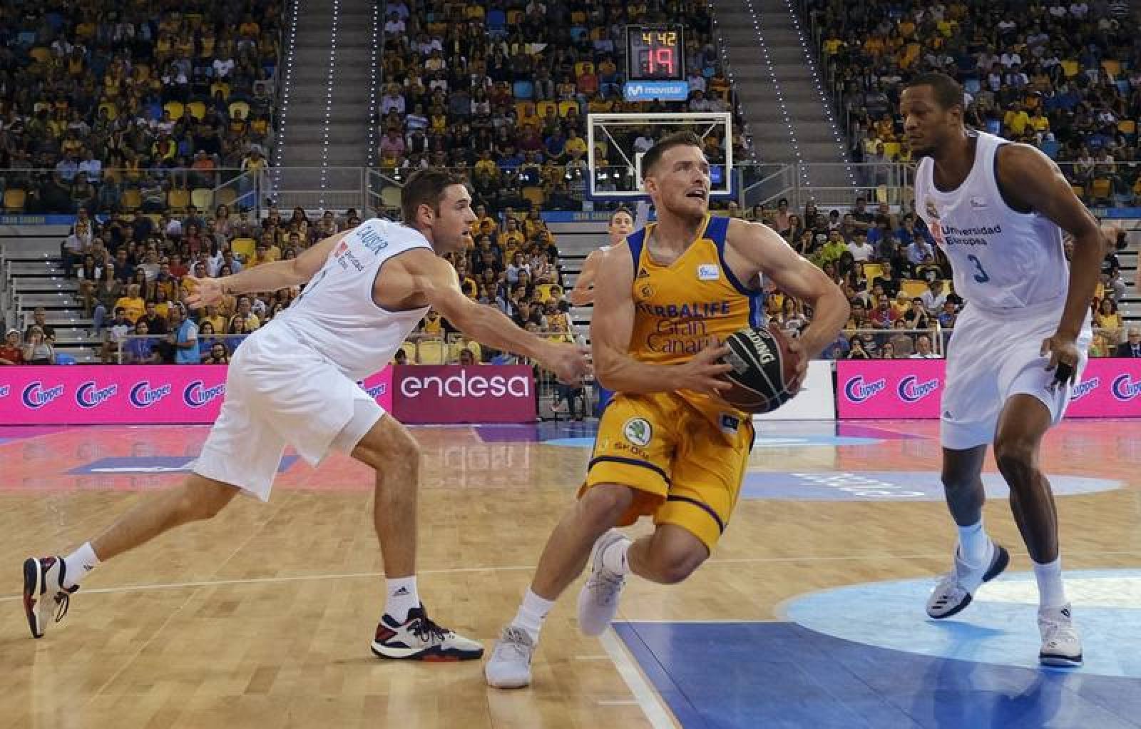 HERBALIFE GRAN CANARIA - REAL MADRID