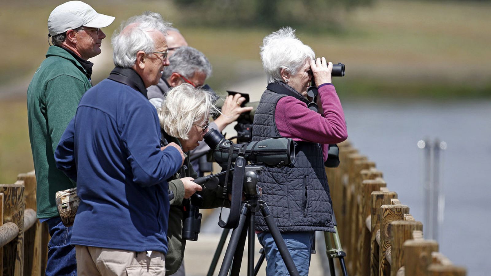 Unos turistas observando aves en Extremadura