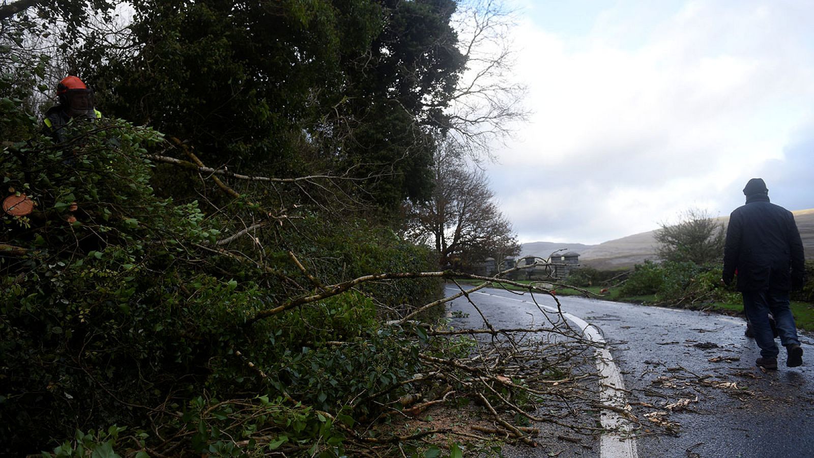 Un hombre camina junto a un trabajador que despeja unos árboles caídos de una carretera en el área de County Clare de Burren