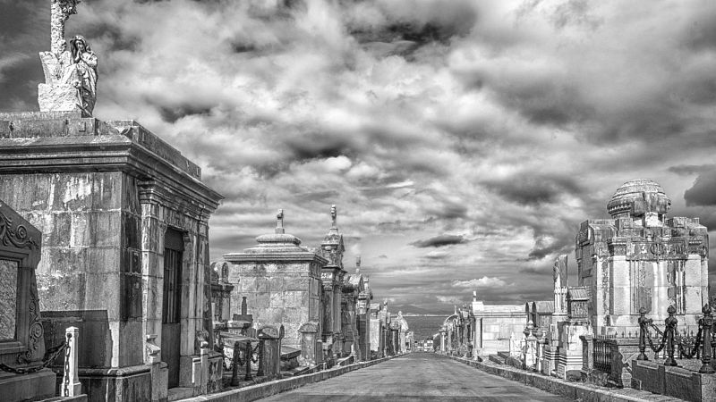 'Memoria de delfín' y la muerte