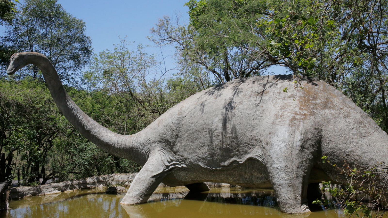 El estudio demuestra la correlación entre la desaparición de los dinosaurios y el comienzo de la actividad diurna en mamíferos