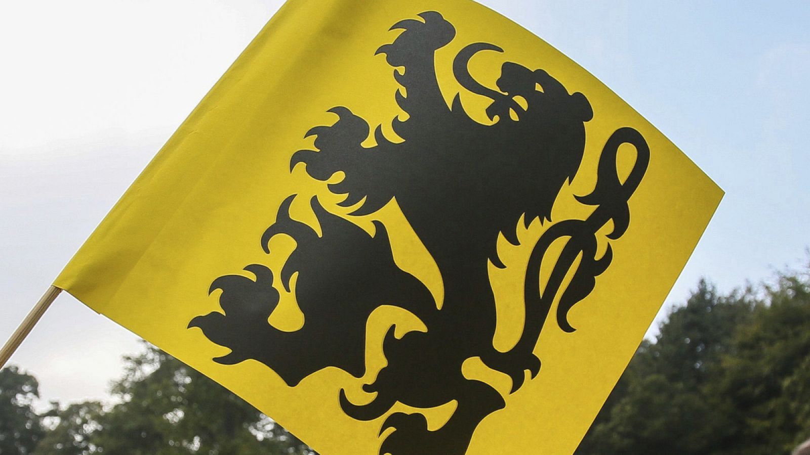 Bandera de la Región Flamenca de Bélgica.