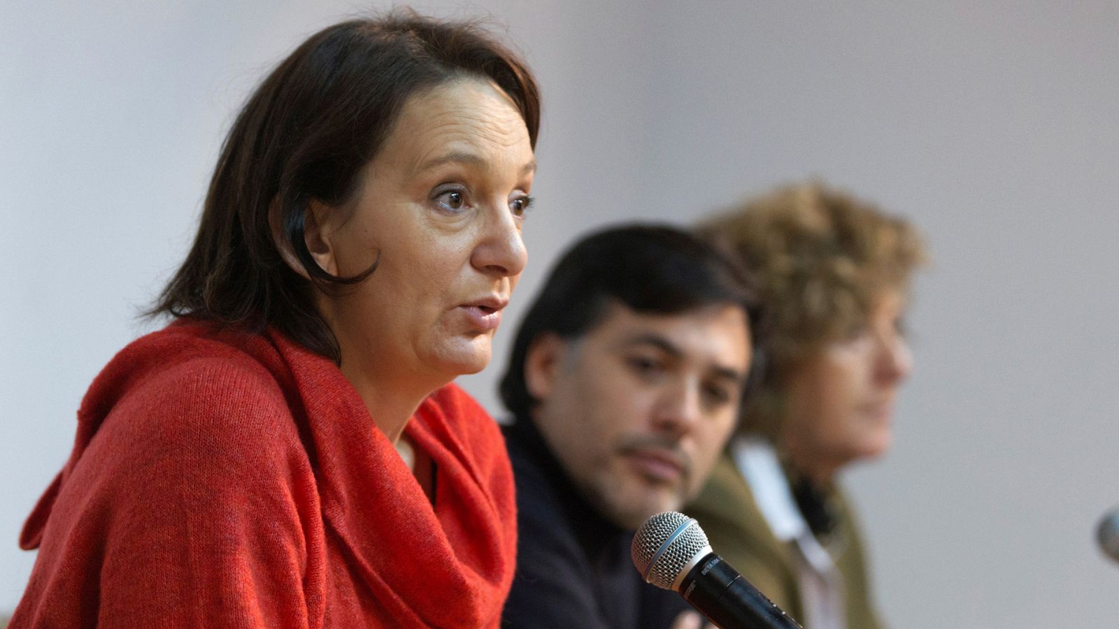 La diputada nacional de Podemos, Carolina Bescansa, fotografiada en Ávila