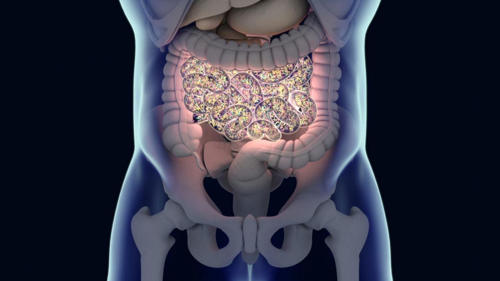 Estudios previos ya habían descubierto que hay flora o microbiota intestinal asociada al cáncer y que influye en su desarrollo y progresión.