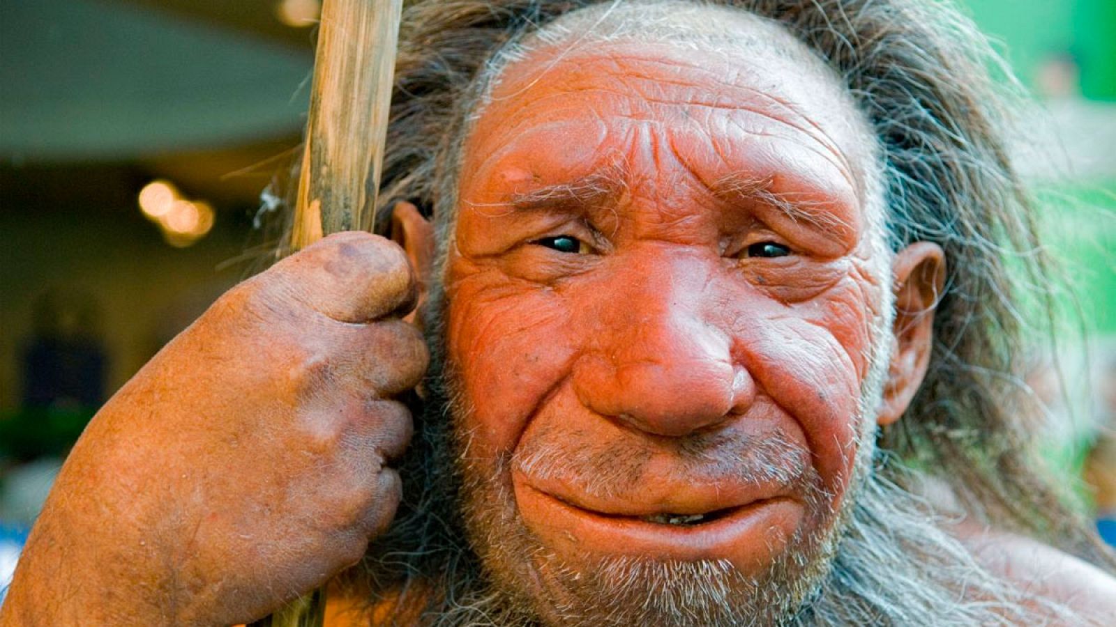 Los neandertales tendrían una mayor potencia respiratoria