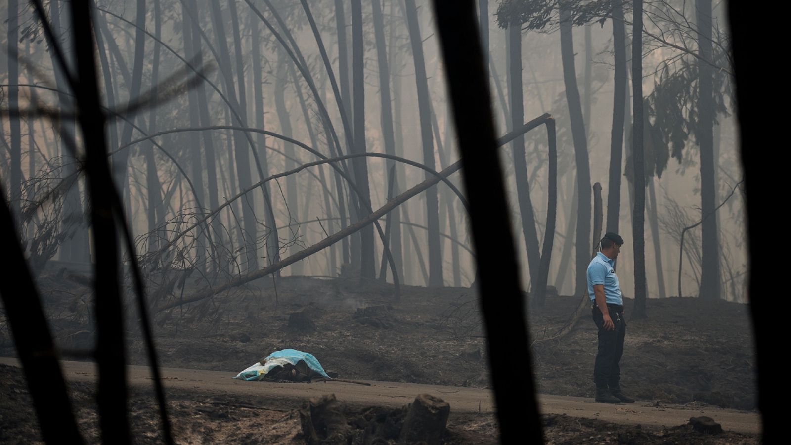 Un policía permanece de pie junto a una víctima del incendio de Pedrograo