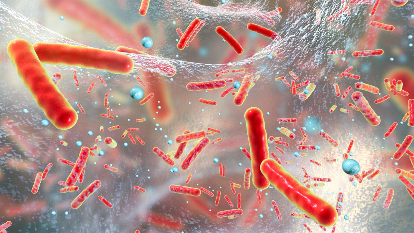 Las bacterias superresistentes suponen un grave peligro para la salud pública.