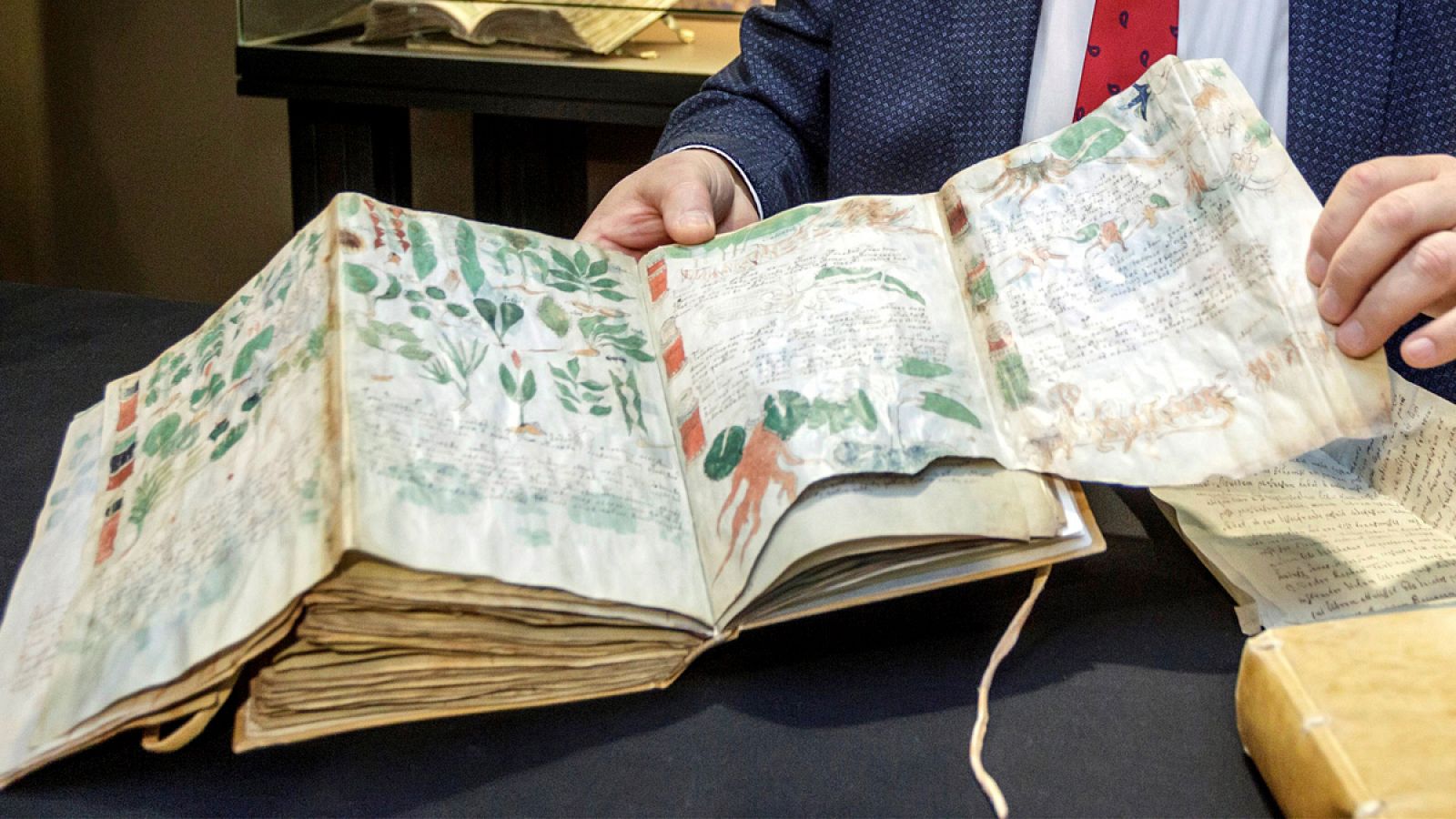 Imagen de archivo de una réplica exacta del manuscrito Voynich.