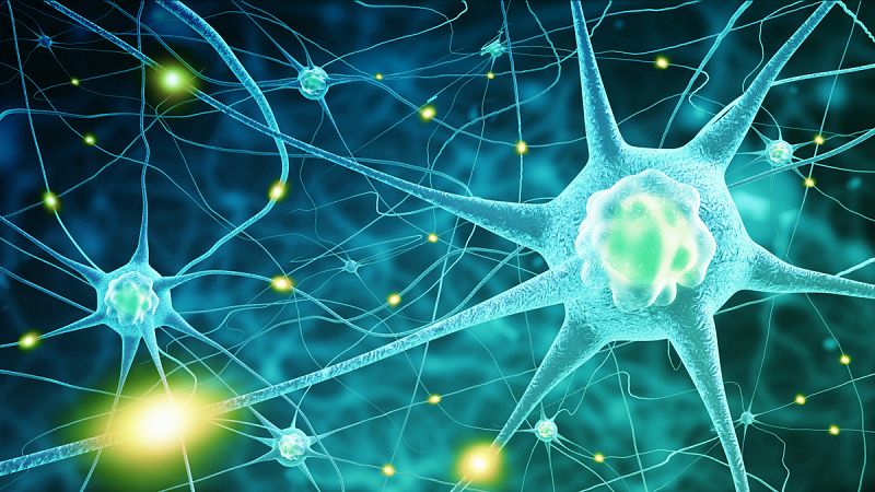 Células nerviosas