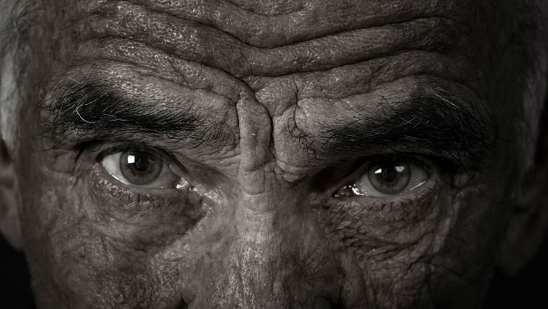 'Memoria de delfín' con la inmortalidad